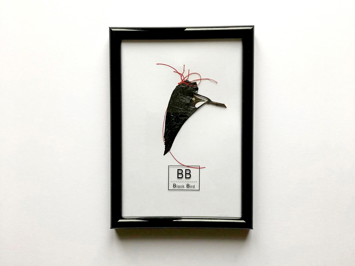 BLACK BIRD #13
