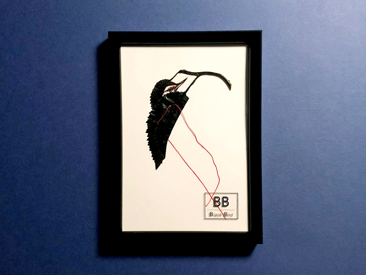 BLACK BIRD #16