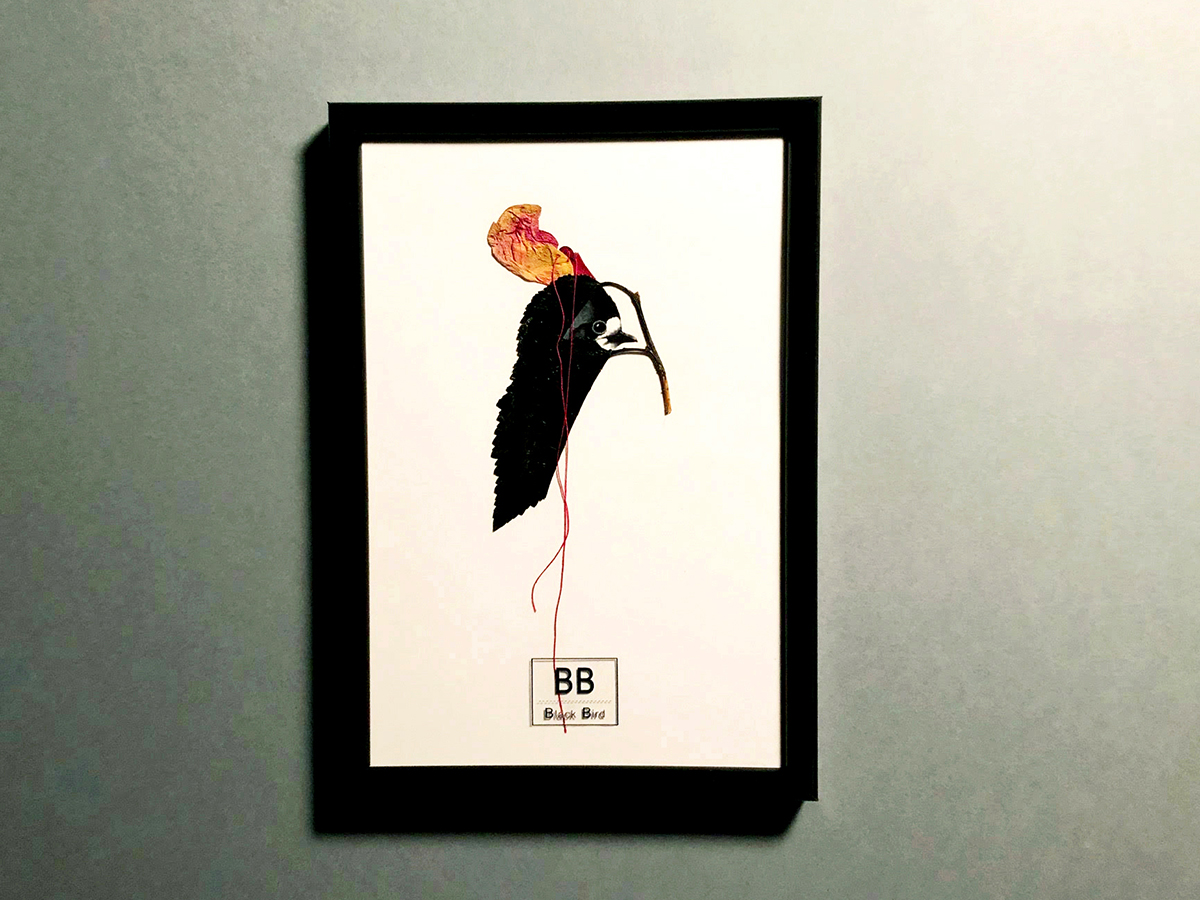 BLACK BIRD #19